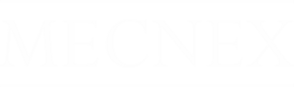 Mecnex International